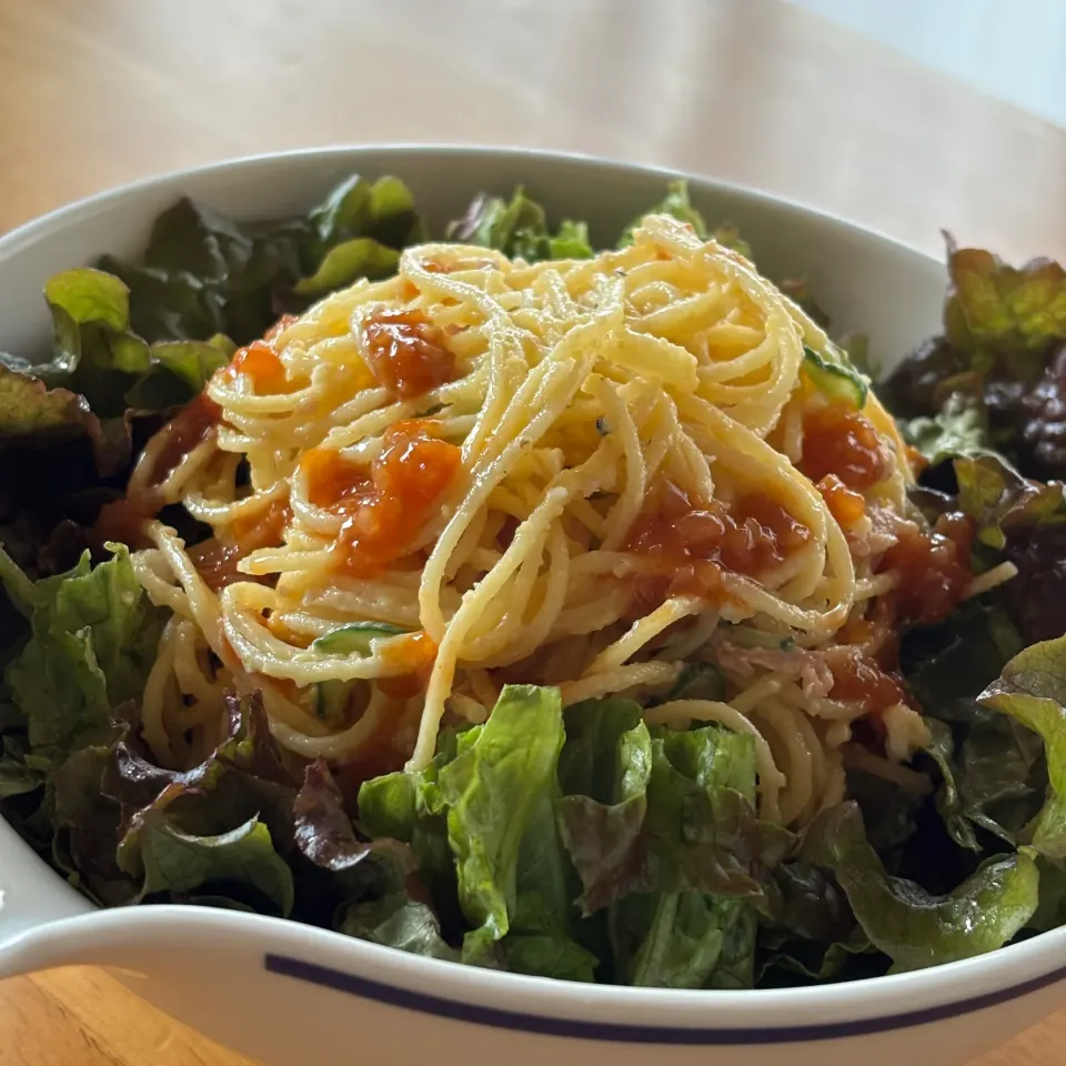 スパサラ1.4mm|かすべえ!さん