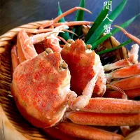 秋の味覚『間人蟹』🦀|気まぐれシェフさん