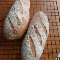 初めてのフランスパン| タマ三郎さん