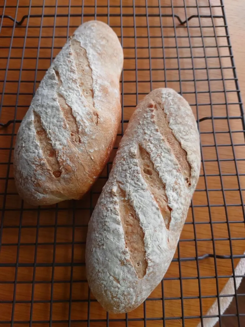 初めてのフランスパン|タマ三郎さん