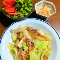 豚肉とキャベツのオイスター炒め| ぱやさん