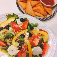 ハムチーズ春巻き、モッツァレラチーズとトマトのイタリアンサラダ|samさん
