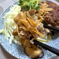 自家製ごろっとまんまるハンバーグ×きのこのみぞれ煮（味ぽん）|morimi32さん