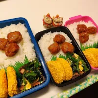 息子、娘、私弁当|みどりさん