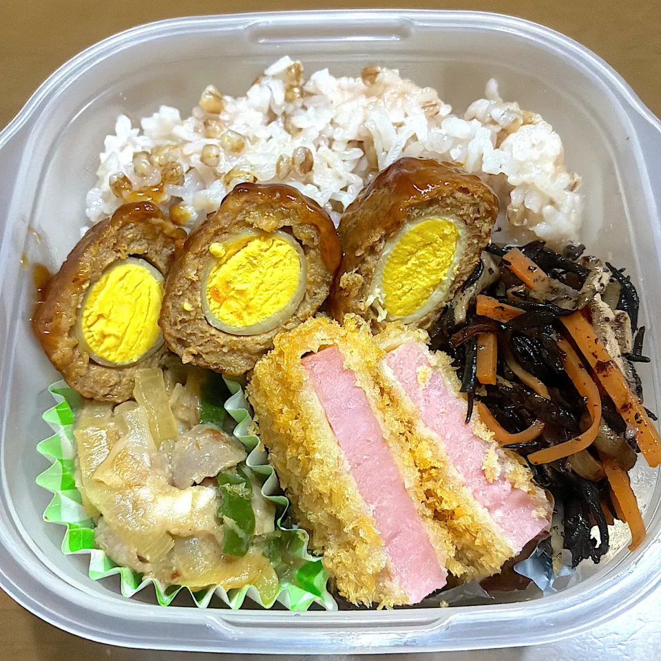 11/14お弁当|まむさん