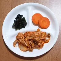 ワカメの酢の物、にんじん、豚キムチ|ナナさん