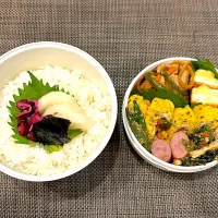 高校生息子のお弁当🍱 豚の生姜焼きとガパオオムレツ弁当🍱| Snow10さん