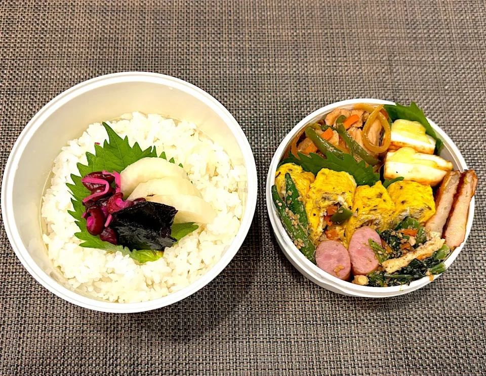 高校生息子のお弁当🍱 豚の生姜焼きとガパオオムレツ弁当🍱|Snow10さん