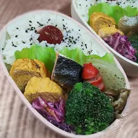 2025.10.14 #106| akiko.sさん