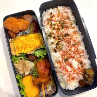 今日のお弁当🍱|Chikaーーさん