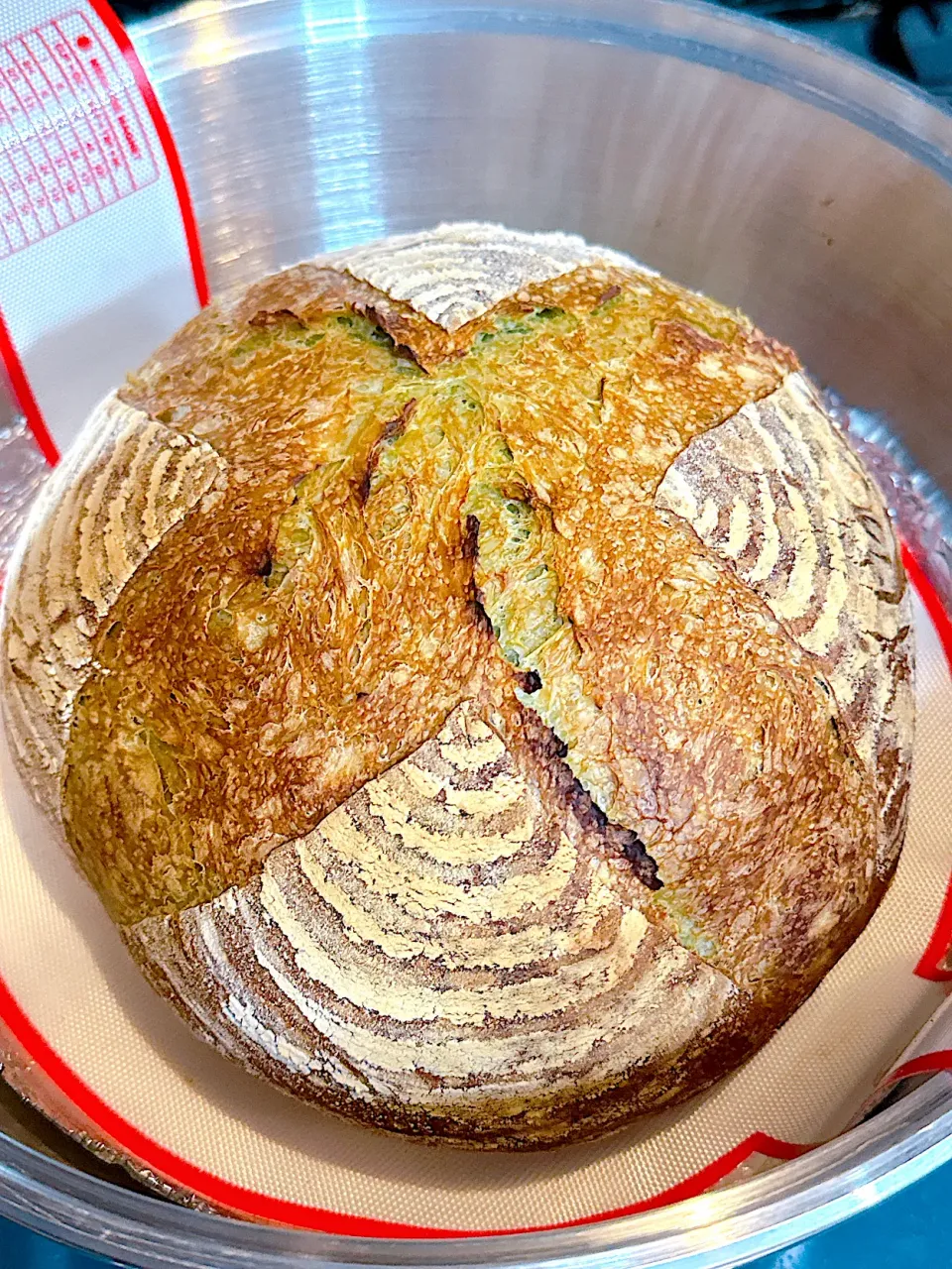 青汁パン・ド・カンパーニュ|Blueberry🫐さん