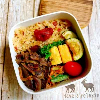 🐮夜【牛ごぼうしぐれ煮弁当】🫚| Laniさん