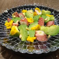 たことアボカドのサラダ