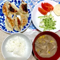 餃子と冷奴| おしゃべり献立さん