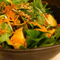 |にゃんがんさん