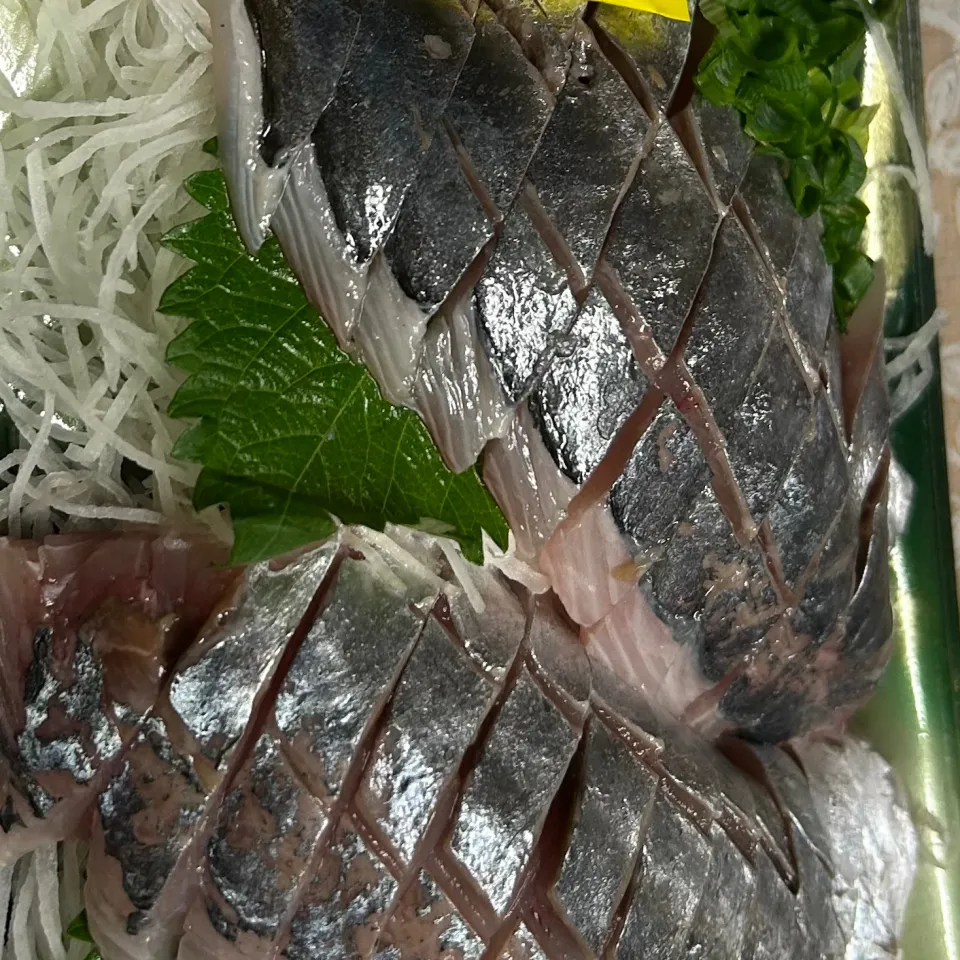 鯵|Morito Kamiyaさん