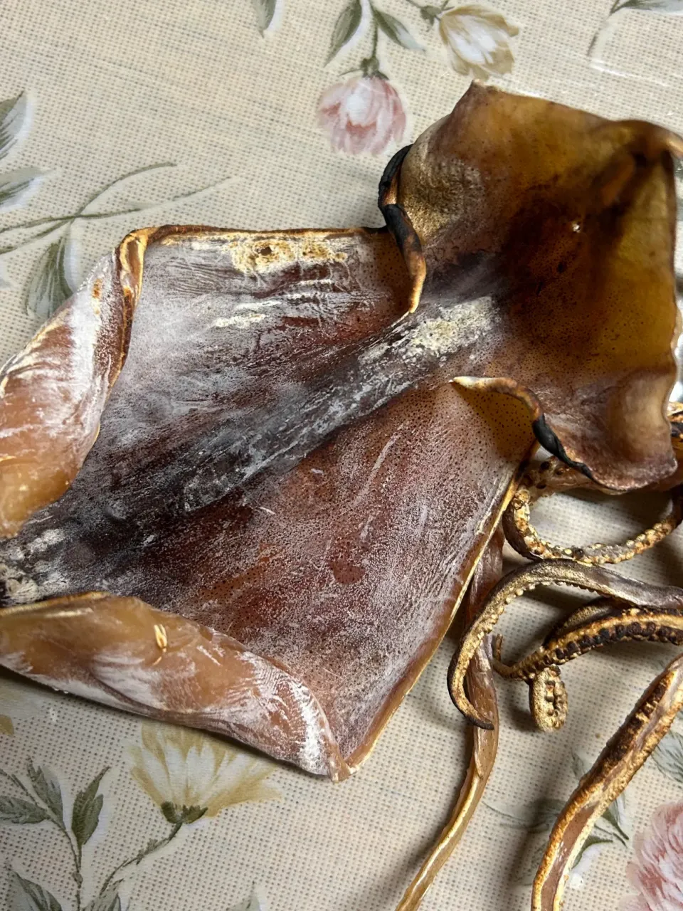 焼きスルメ|Morito Kamiyaさん