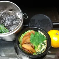 11月14日| maimaipapaさん