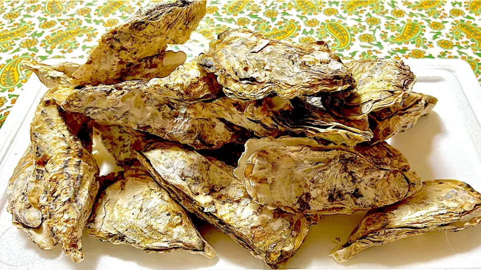 牡蠣の鍋蒸し|akopeko ◡̈⋆さん