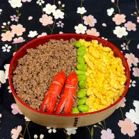 2025.11.15⚾️そぼろ弁当|ぽんちゃんさん