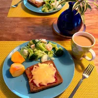 ローゼルさんちの朝ごはん　2025・11・15|ローゼルさん