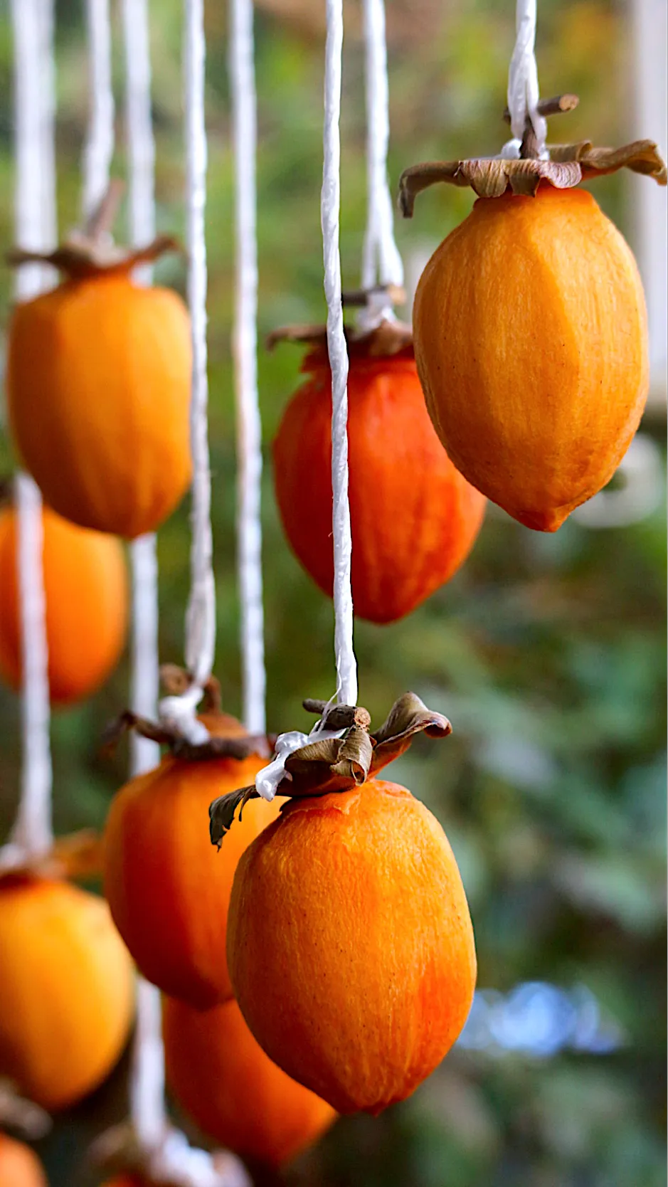 10個だけ|tamiさん