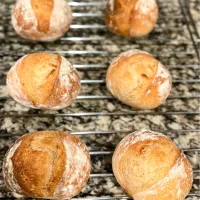 蕎麦粉のミニフランス