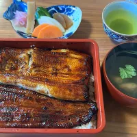 うなぎ　友栄|ルナピーボールさん