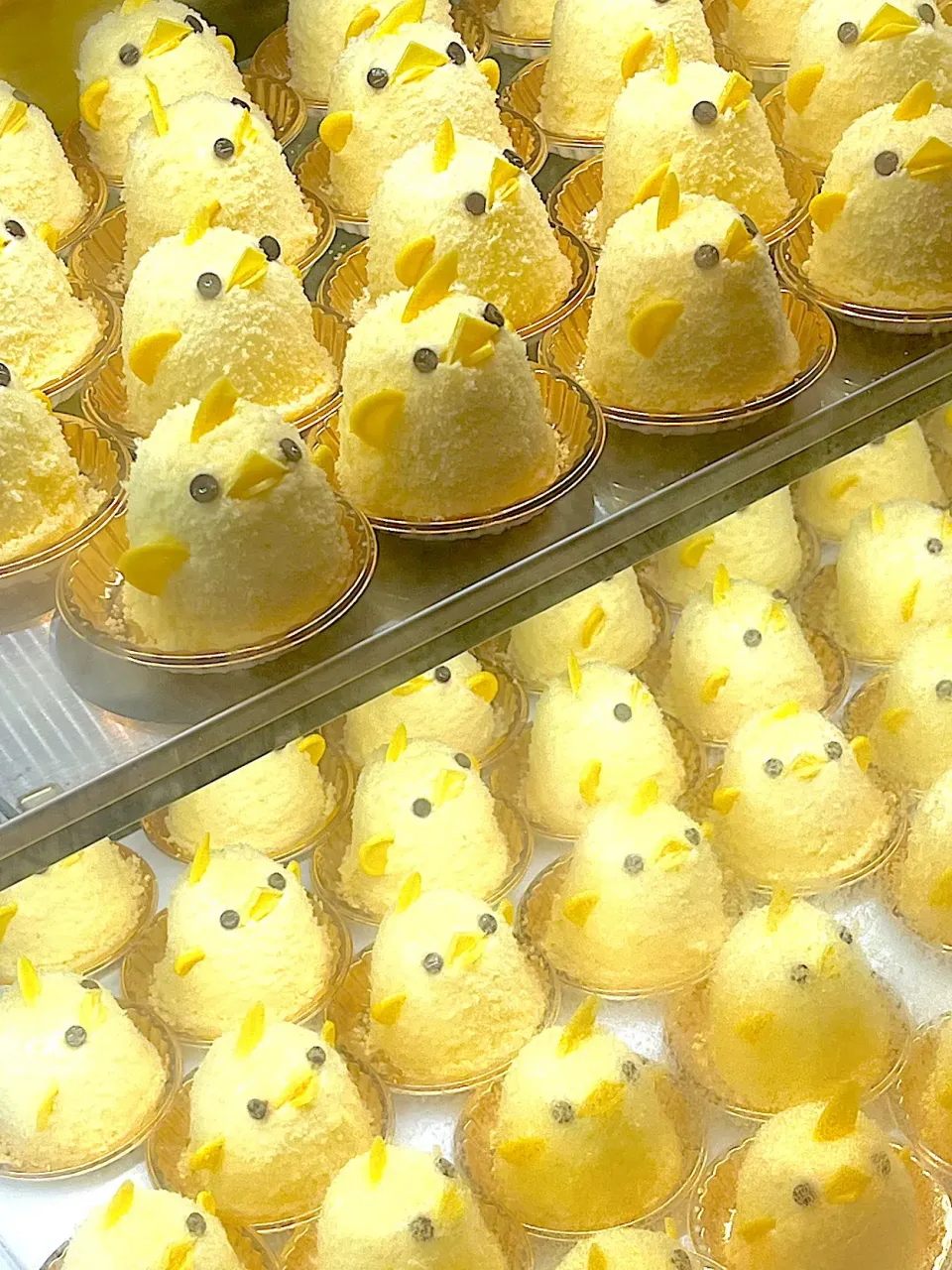 ぴよりん|まうんてんさん