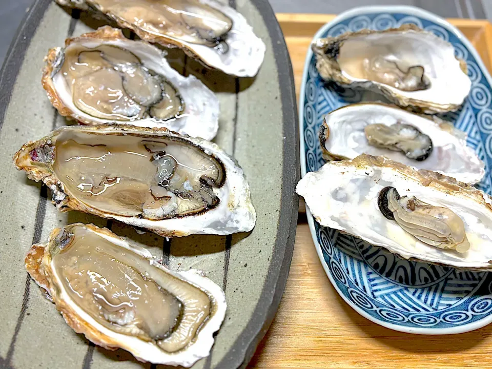 牡蠣|misakoさん