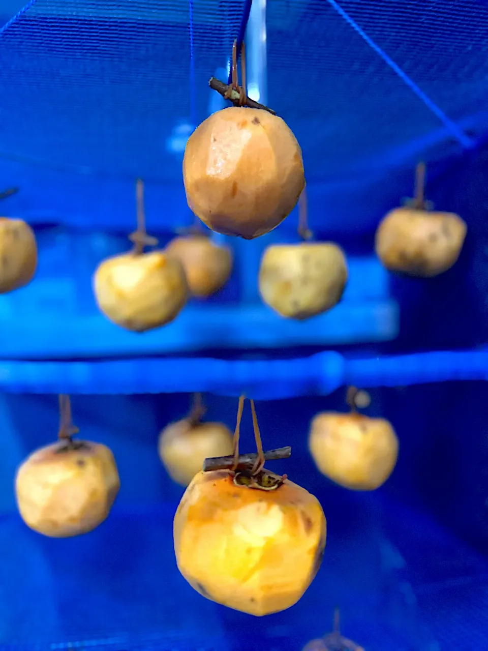 干し柿|kyonmiさん