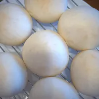 簡単丸パン白、焼き上がり|masaさん