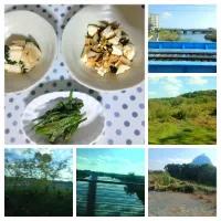 昨日までの作置き野菜たち(ｏ´艸｀ｏ)♪✨|ぽんすけさん