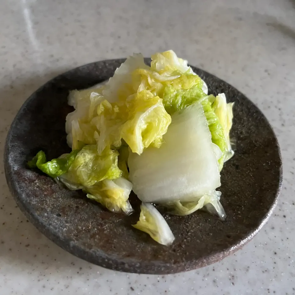 白菜の浅漬け|sanaeさん