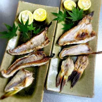 |藤田 まり子さん