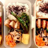 女子高生と男子中学生に捧ぐお弁当|めぐさん