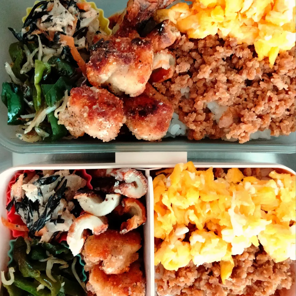 女子高生と男子中学生に捧ぐお弁当|めぐさん