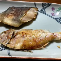 干物|はっちぃさん