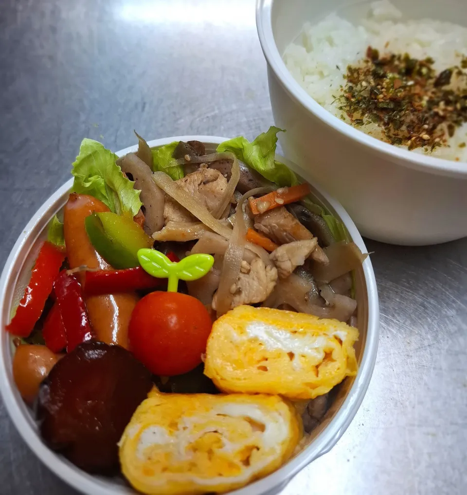 きんぴら弁当🍱😋|ゆきさんさん