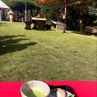 白鳥庭園紅葉茶会の抹茶と亥の子餅|はやとさん