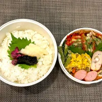 高校生息子のお弁当🍱 野菜と豚肉のミルフィーユ焼き弁当🍱|Snow10さん