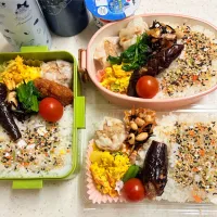 今日のお仕事&お籠もり弁当2025.11.17|ぐぅさん