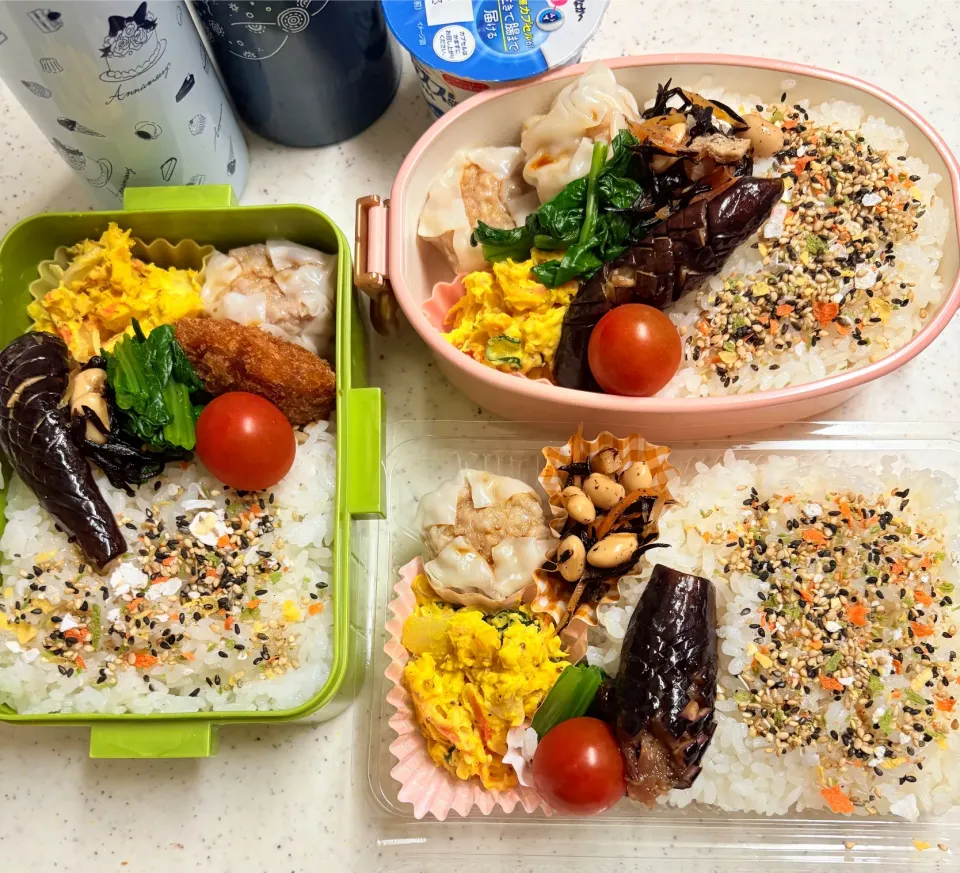 今日のお仕事&お籠もり弁当2025.11.17|ぐぅさん