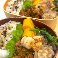 毎日弁当|ふうママんさん