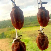 干し柿|Kiyomiさん