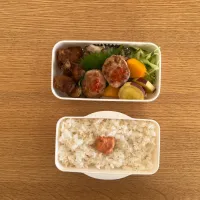 とりつくね弁当|まゆぽんさん