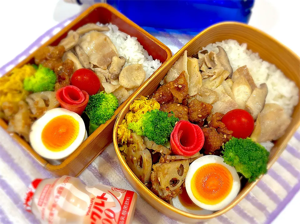 今日の夫婦弁⁽⁽ ◟(灬 ˊωˋ 灬)◞ ⁾⁾💕|桃実さん