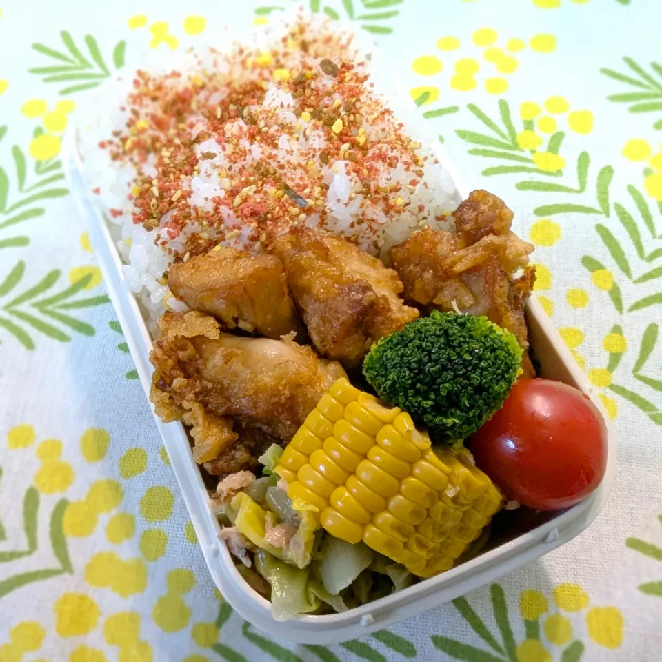11/14 お弁当|ごるびーさん