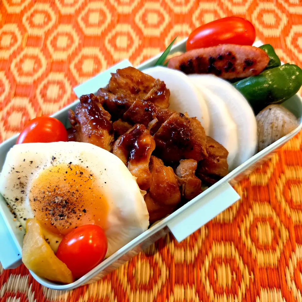 今日のお弁当|aoiさん