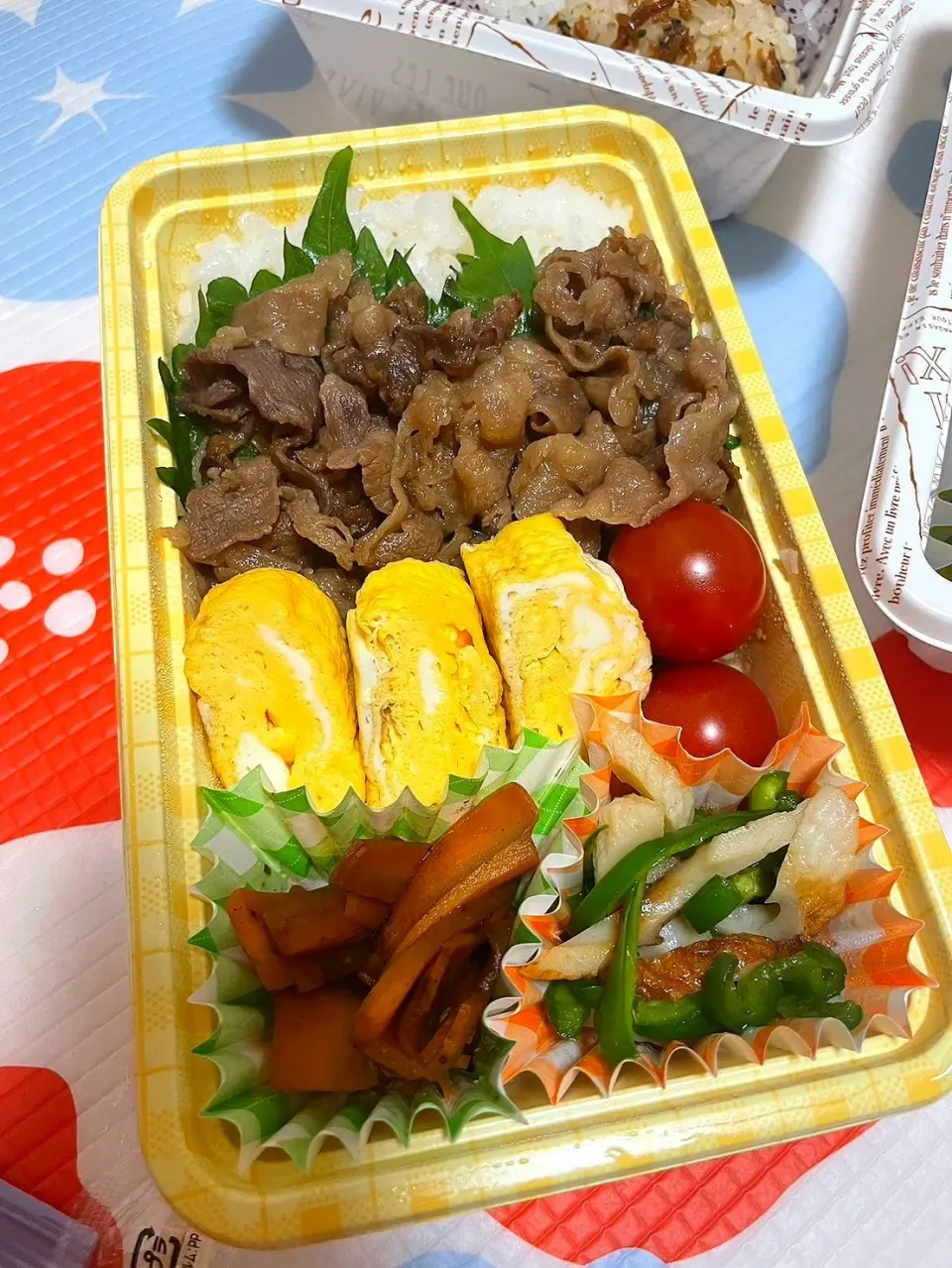 ピクニック弁当|なななさん